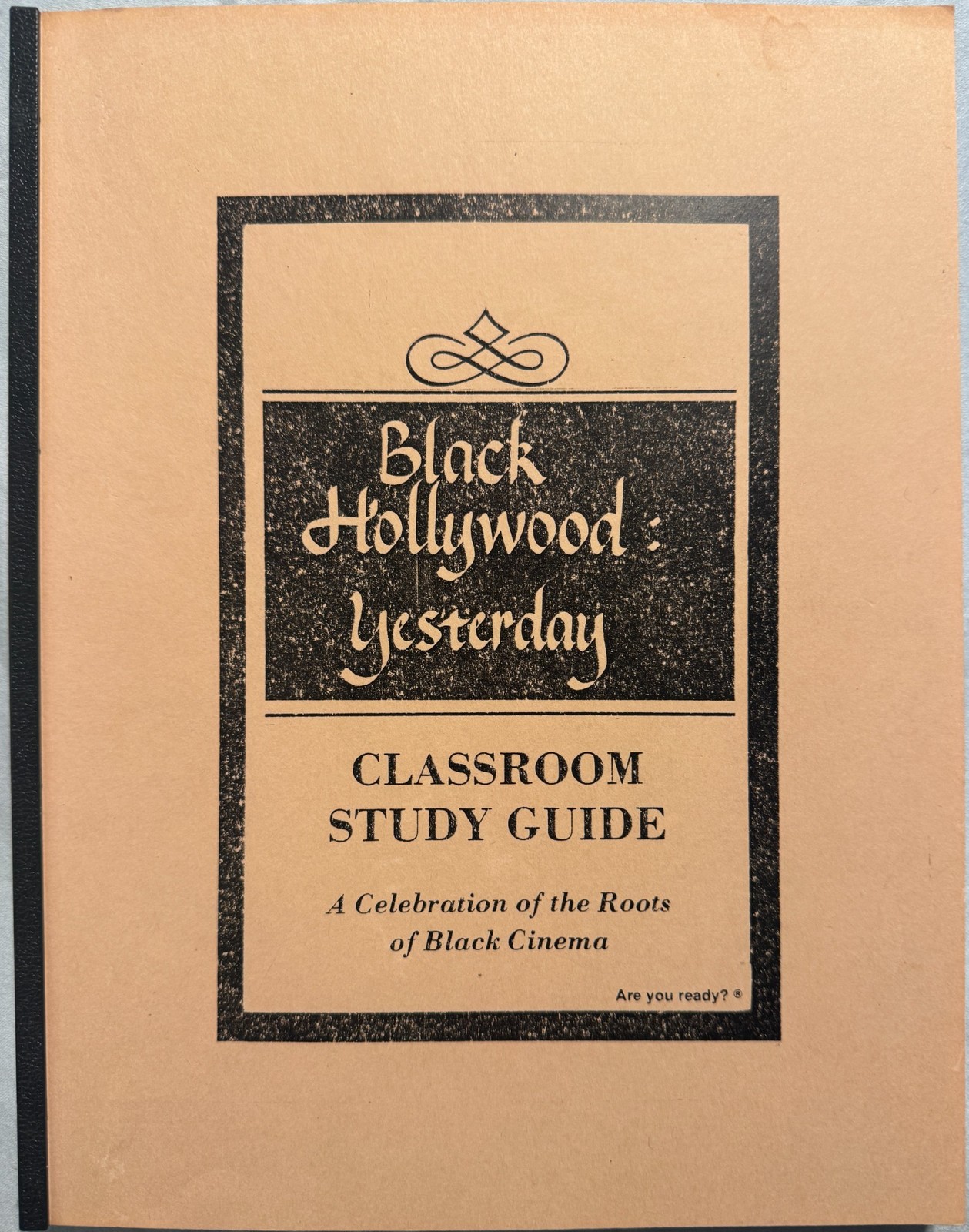 Black Hollywood Yesterday * Lot of 3 Classroom PB Books Projects Guide Secondary