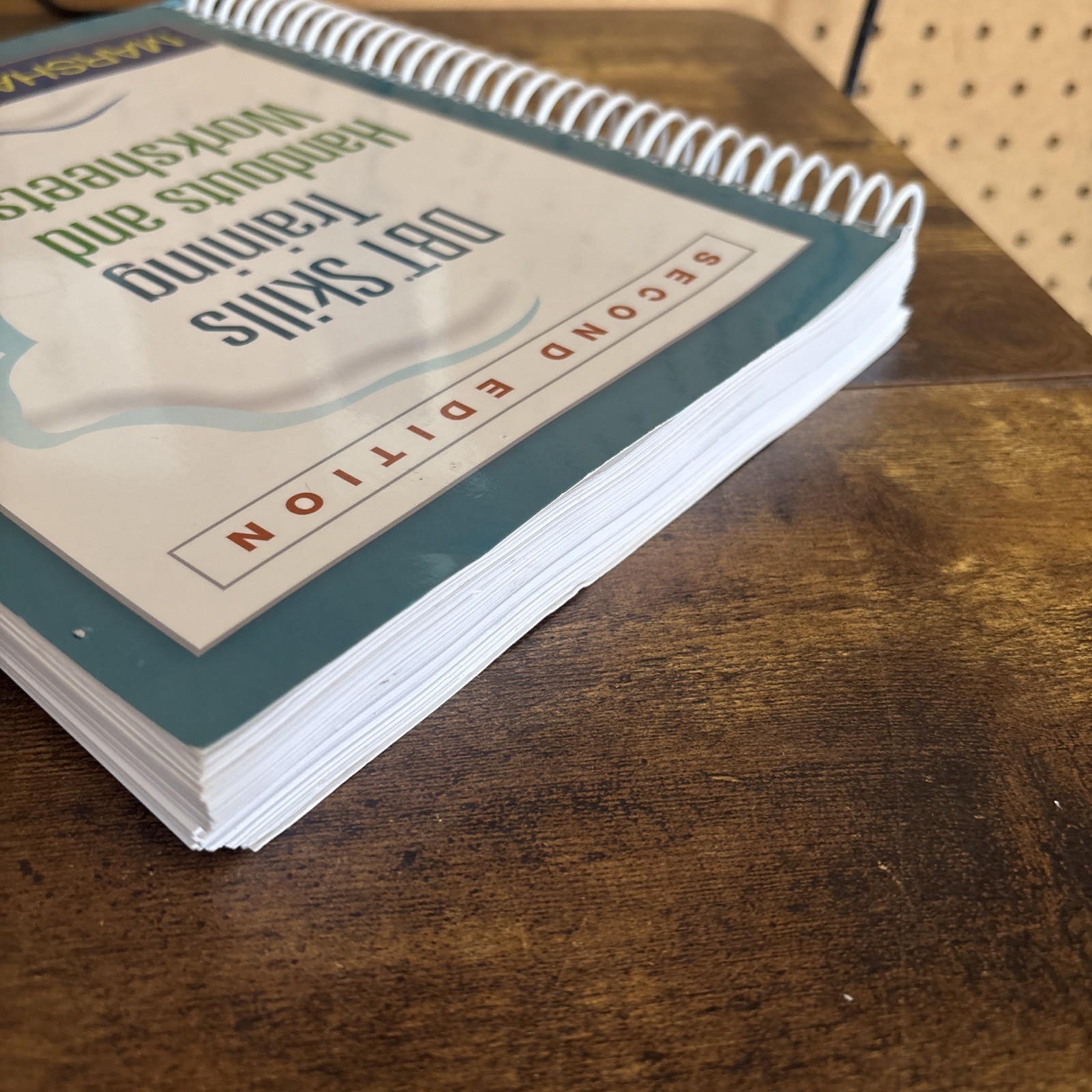 DBT Skills Training Handouts and Worksheets by Marsha M. Linehan (2014, Trade…
