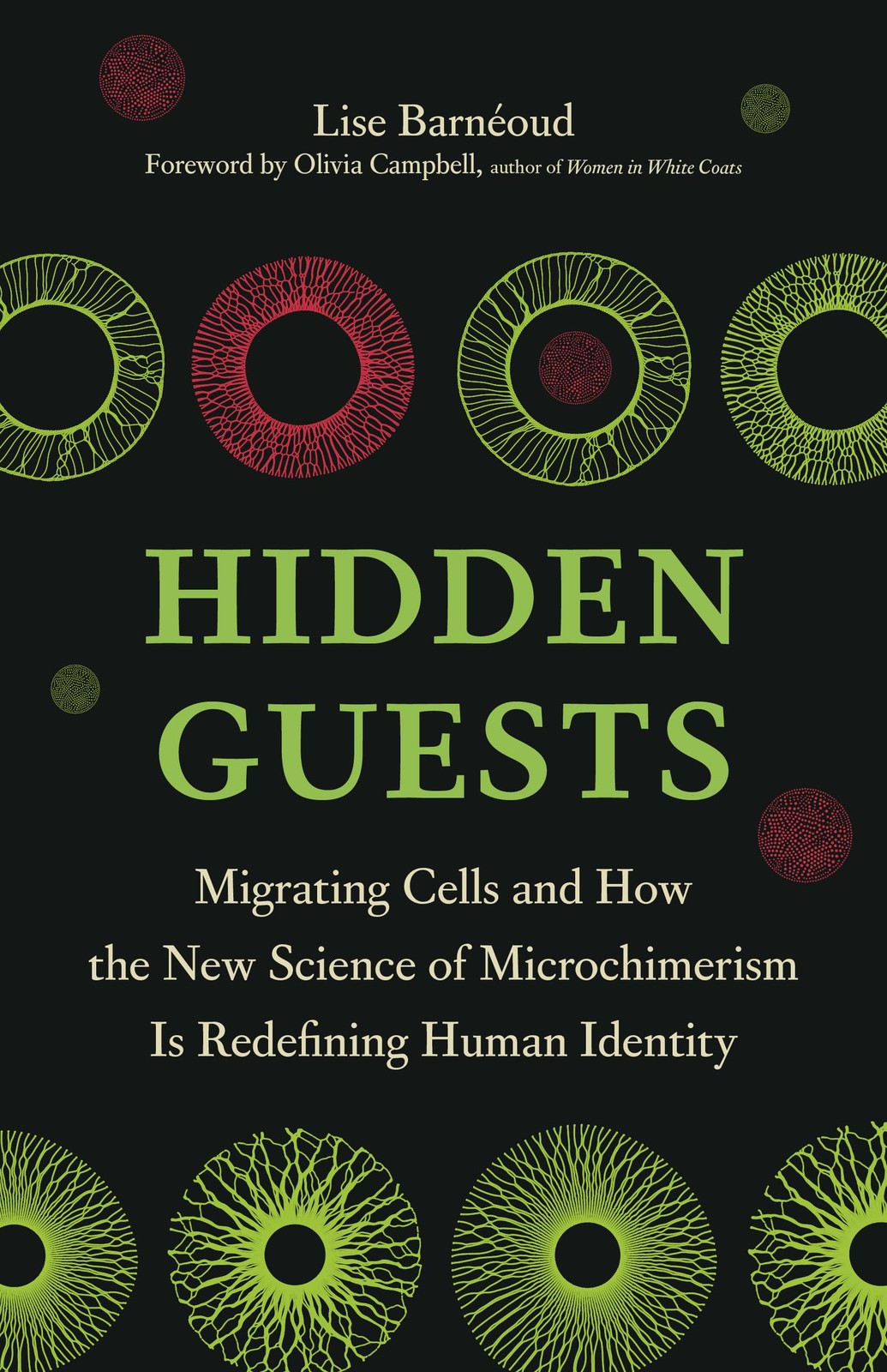 Hidden Guests – Lise Barnéoud, Greystone Books, Hardcover
