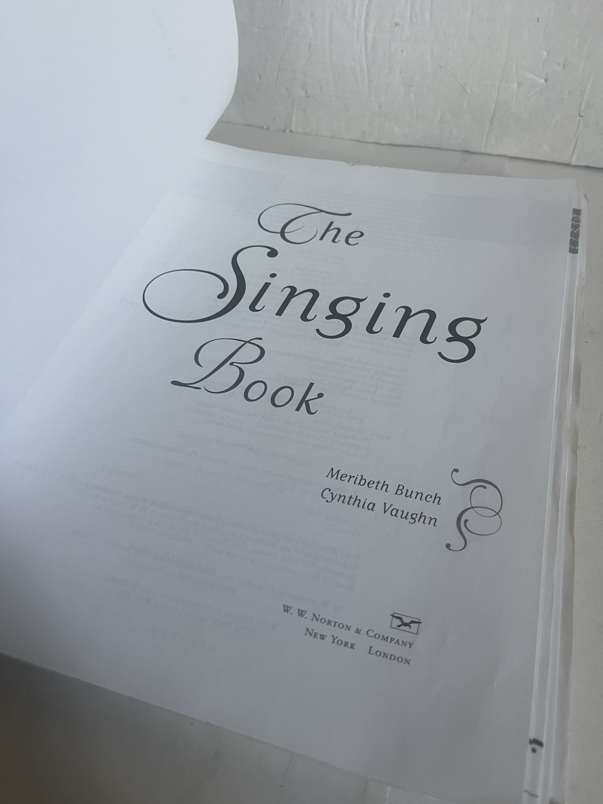 Singing Book by Cynthia Vaughn and Meribeth Bunch (2004, Trade Paperback Spiral)