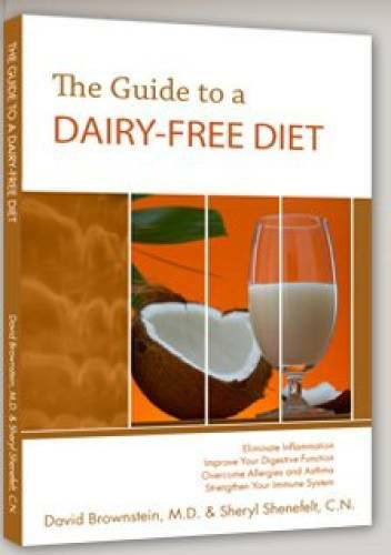 The Guide to a DAIRY-FREE DIET – Paperback By David Brownstein – GOOD