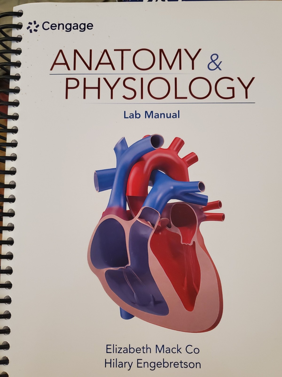 Anatomy & Physiology Lab Manual by Elizabeth Co (English) Spiral Book