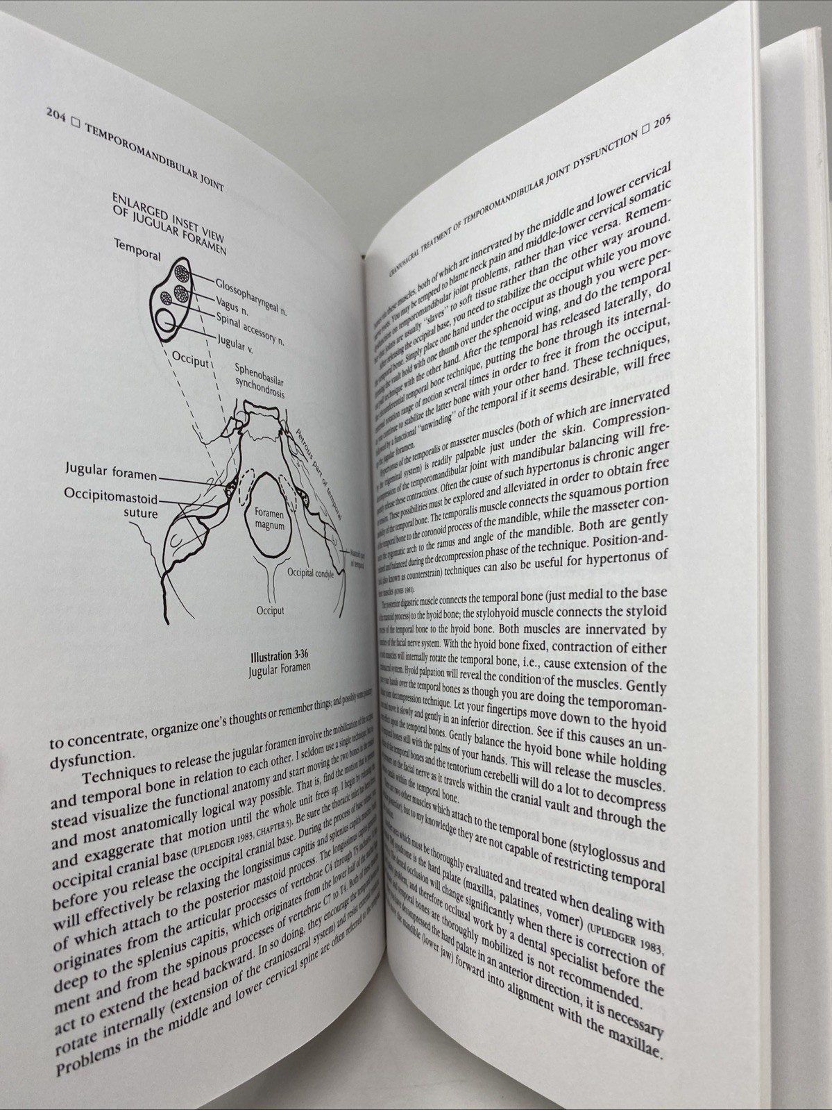 Craniosacral Therapy II Beyond Dura Upledger 1995 Clean Pages HC