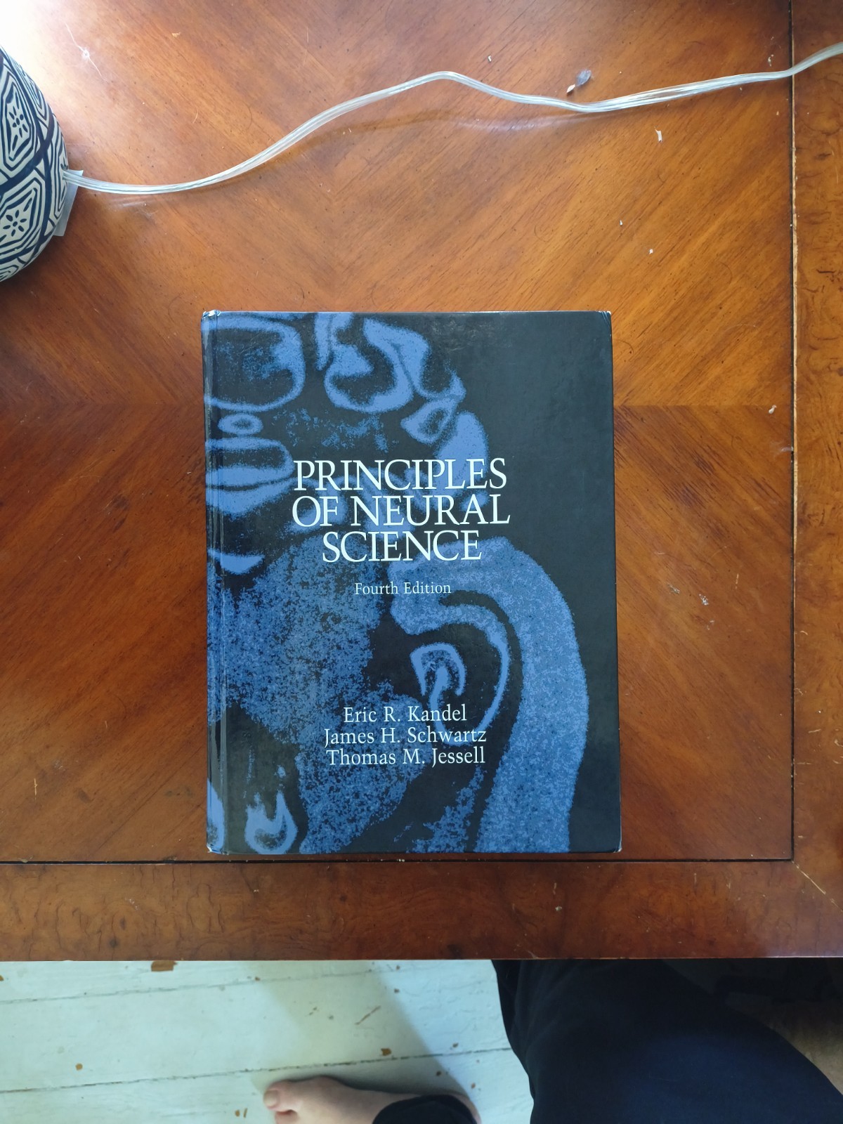 Principles of Neural Science, Fourth Edition by Thomas M. Jessell, Eric R….