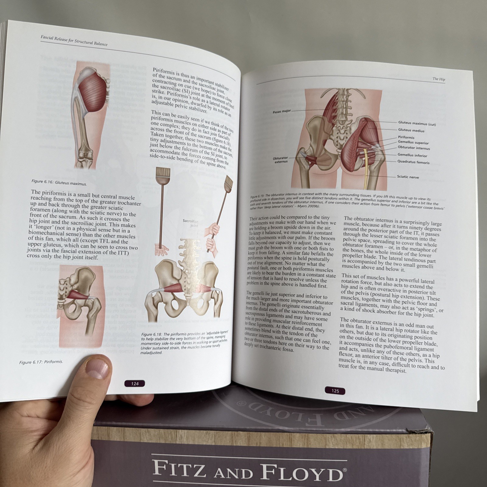 Softcover color book «Fascial Release for Structural Balance» T. Myers J. Earls