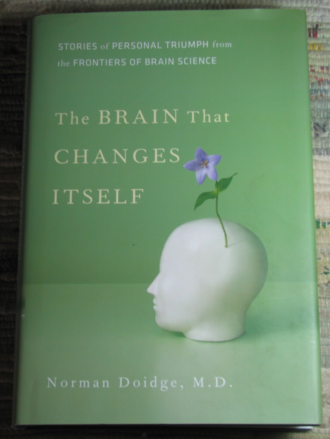 THE BRAIN THAT CHANGES ITSELF by Norman Doidge 2007 Hardcover