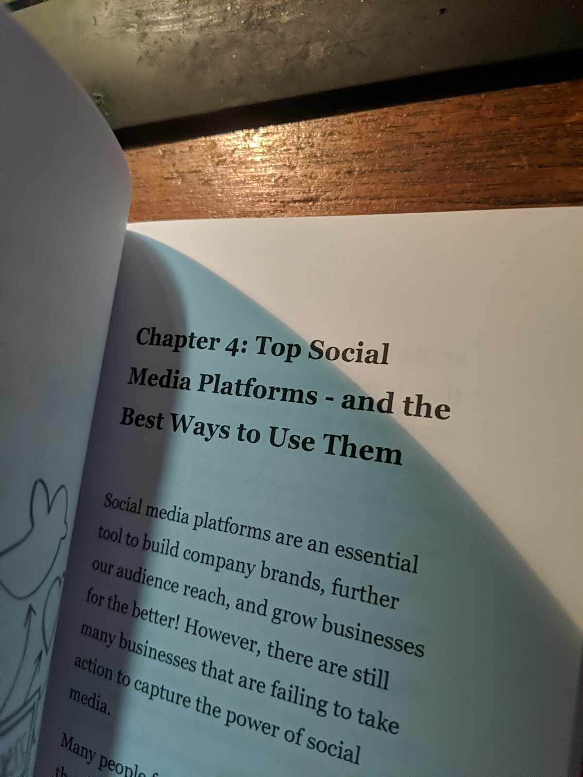 SOCIAL MEDIA MARKETING: ULTIMATE GUIDE TO LEARN *Pristine Cond* Gerry T. Warner