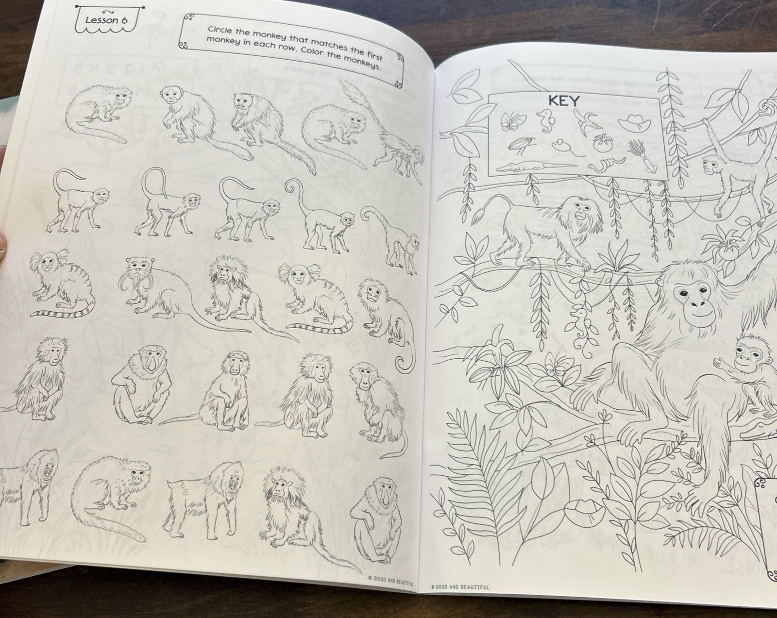 The Good and Beautiful – For Littles – Science Activity Boom Birds And Mammals
