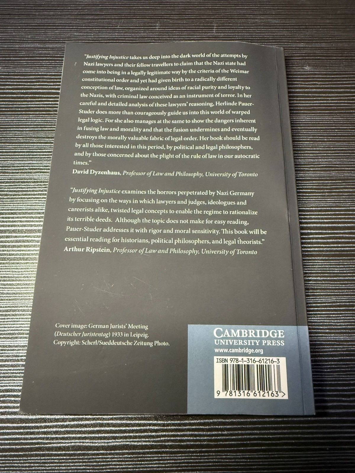 Justifying Injustice by Herlinde Pauer-Studer (2022, Trade Paperback)