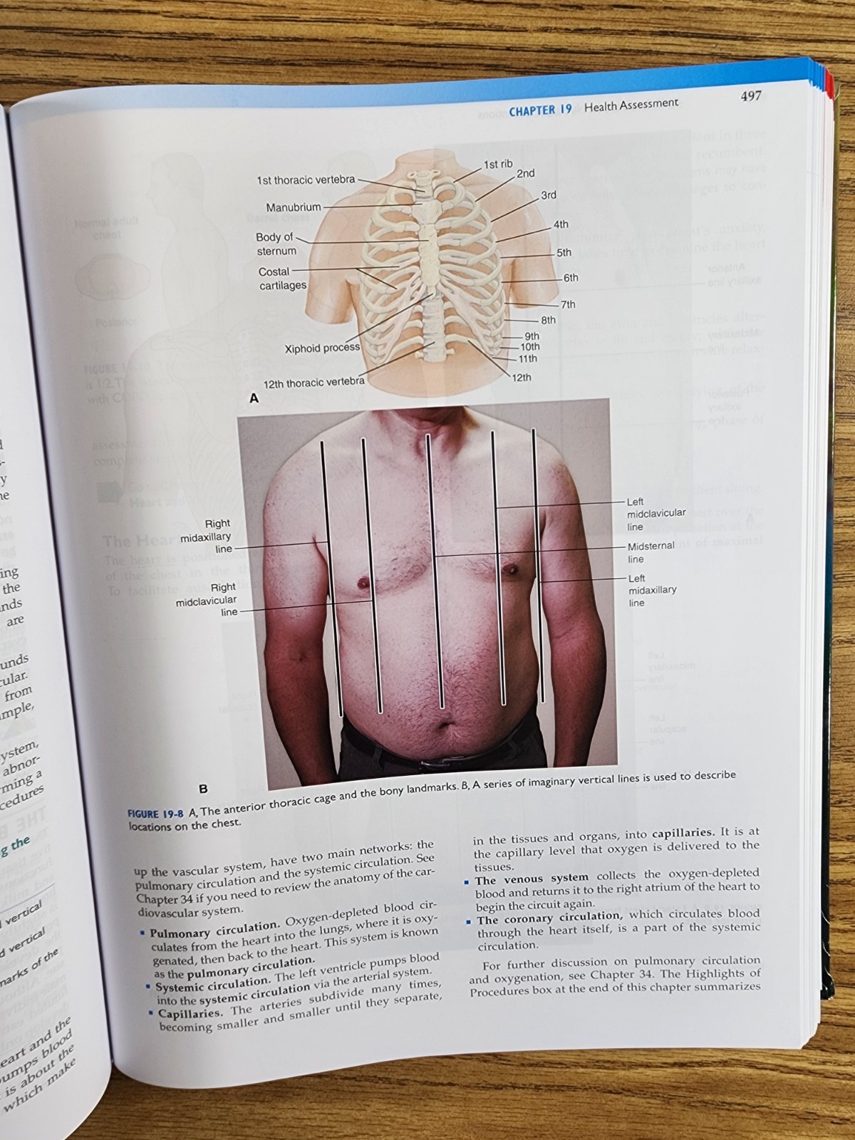 Wilkinson’s Fundamentals of Nursing Volume 1 – Hardcover Davis “CLEAN No MARKS”