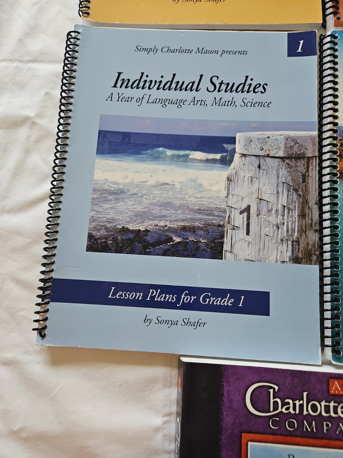 Charlotte Mason Books Simply Individual Studies 1 & 2 Africa Hymns In Prose (J)