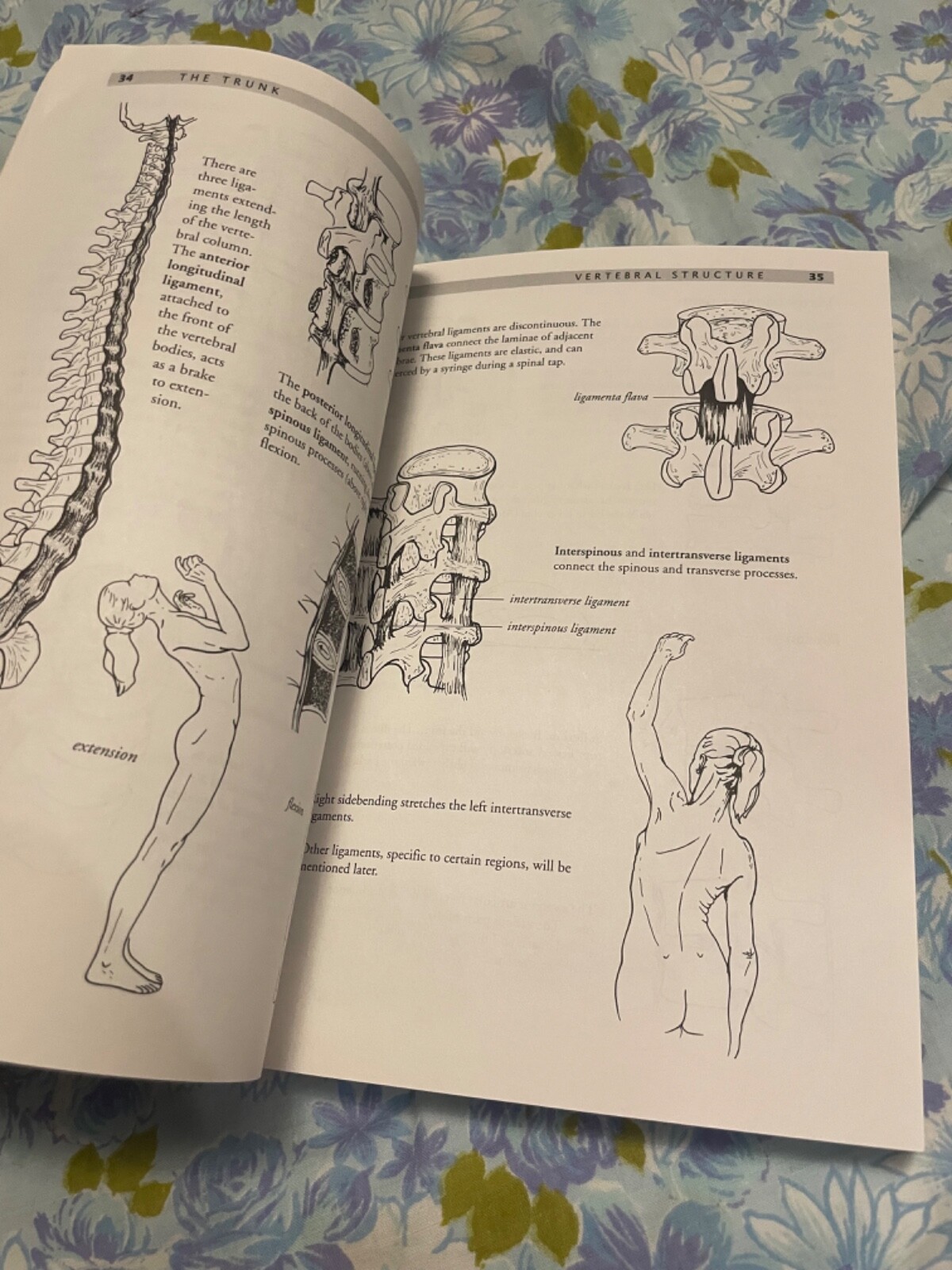 BOOK Anatomy of Movement Blandine Calais-Germain Paperback 1993 Eastland Press
