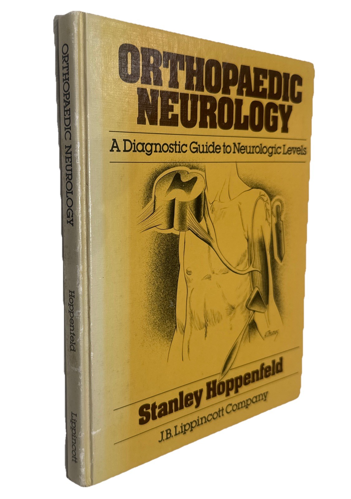 Orthopaedic Neurology : A Diagnostic Guide to Neurologic Levels (1977 Hardcover)