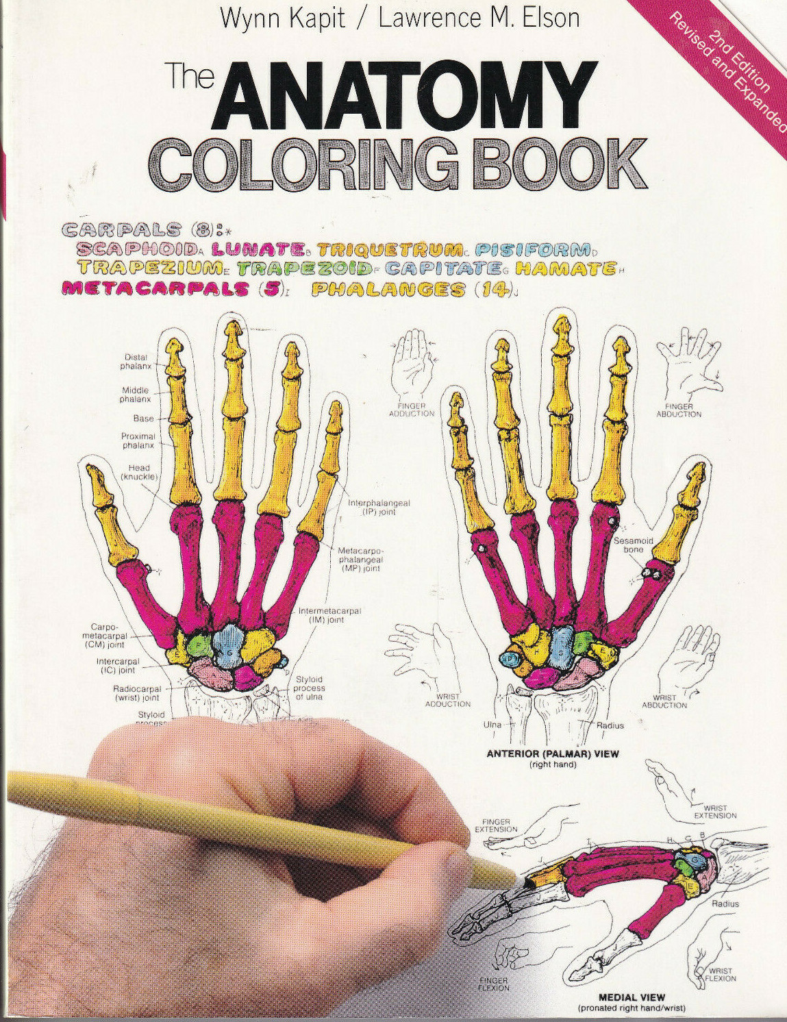 THE ANATOMY COLORING BOOK by Lawrence M. Elson and Wynn Kapit (1997 softcover)