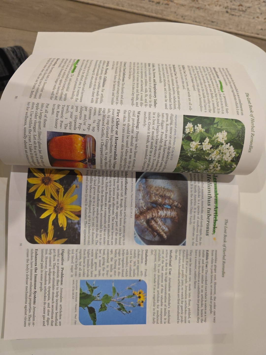 Lost Book of Remedies by Nicole Apelian and Claude Davis Sr. (2018, Uk- a Format