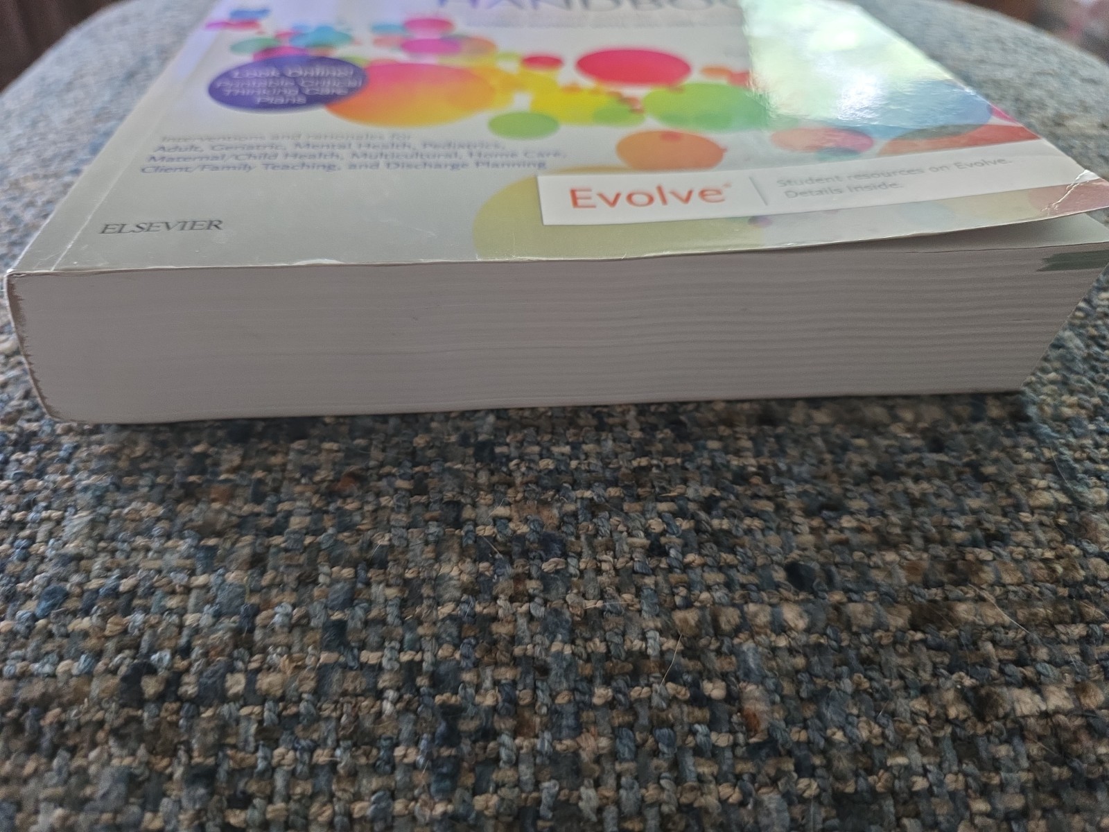 Nursing Diagnosis Handbook, 12th Edition Revised Reprint with 2021-2023 NANDA-I®