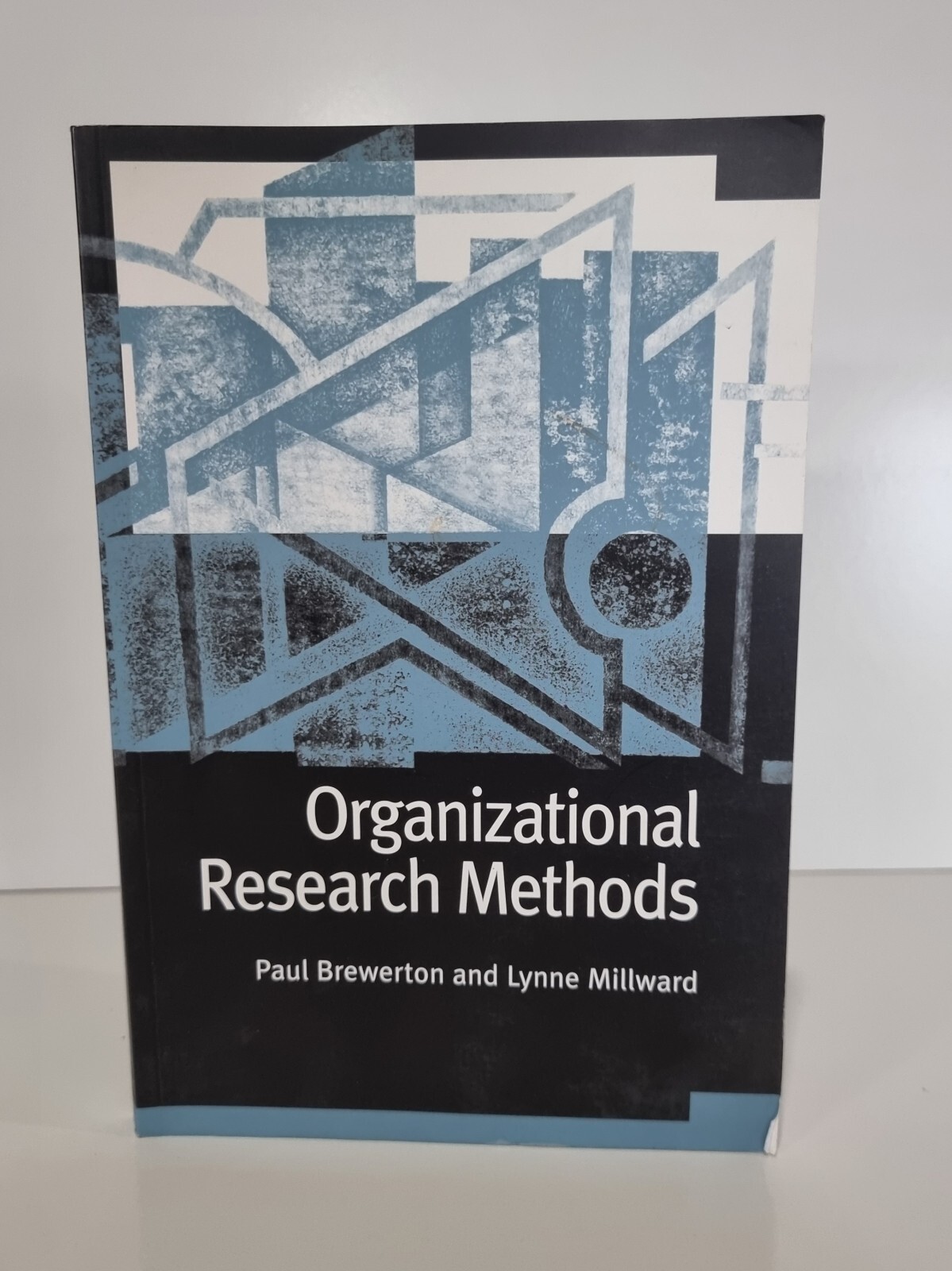 Lynne Millward Paul M Brewerton Organizational Research Methods (Paperback)