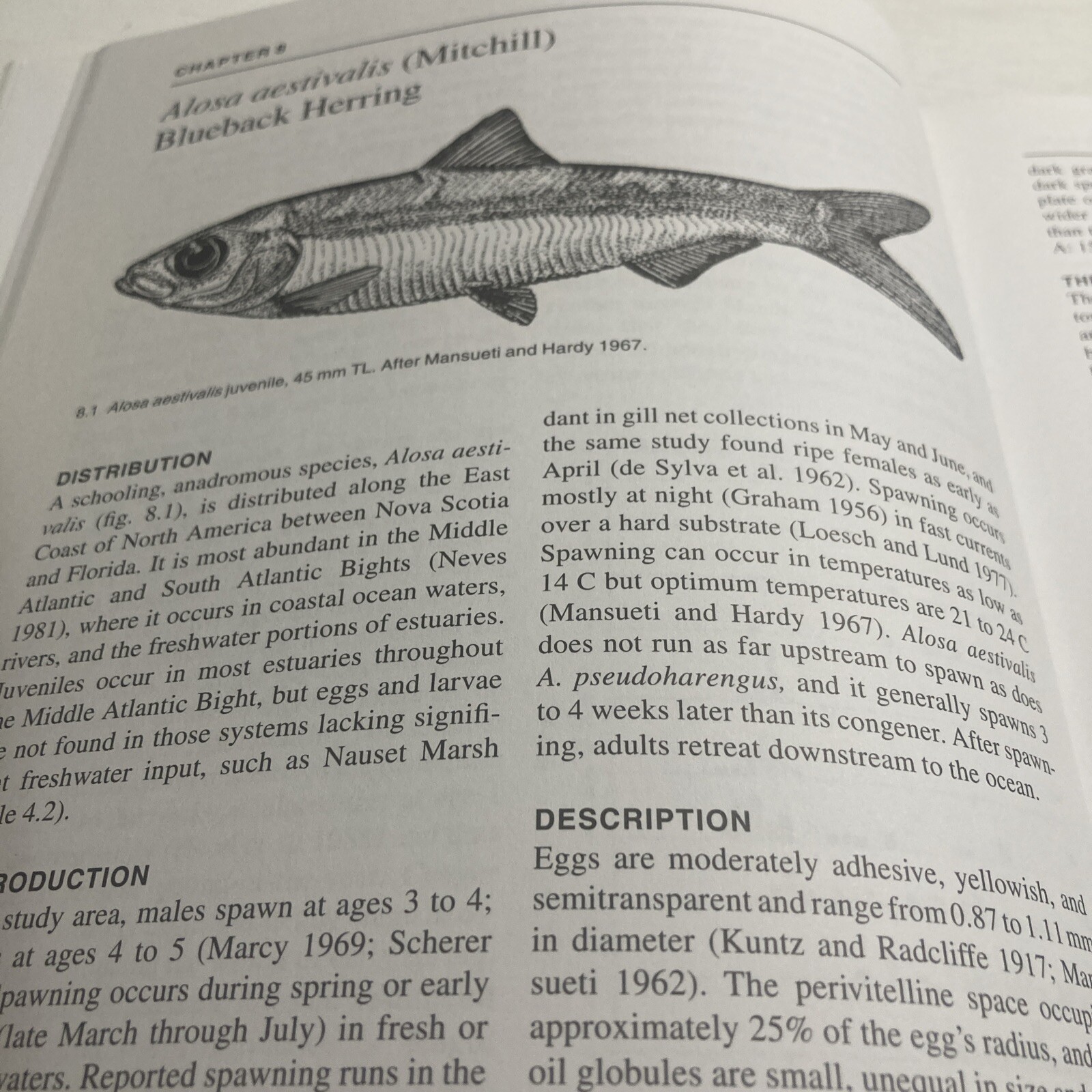 First Year in the Life of Estuarine Fishes in the Middle Atlantic Bight by Ke…
