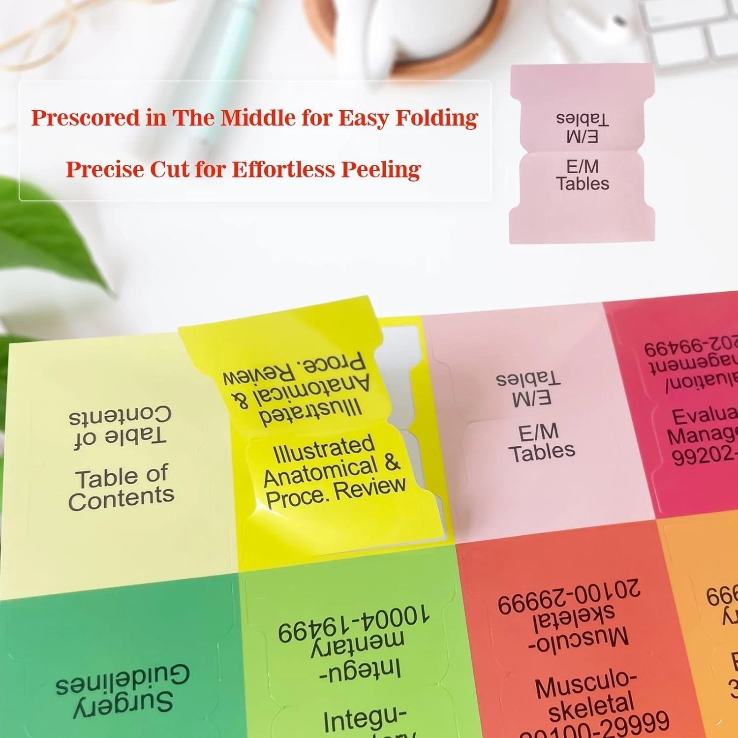 Color-Coded Index Tabs 2026 for Medical Coding Books`