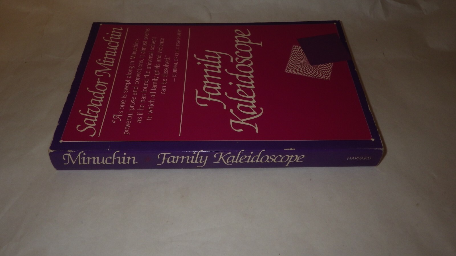 Family Kaleidoscope Paperback Salvador Minuchin
