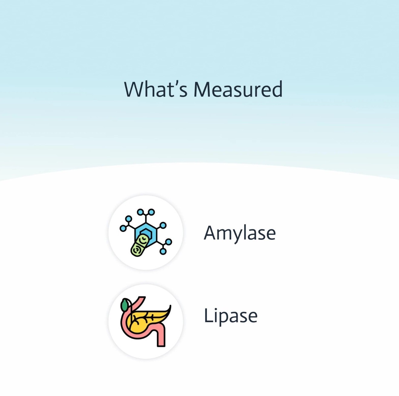 Pancreatic Function Test | 2 in 1 at Home Test | Amylase | Lipase | Cap & CLIA