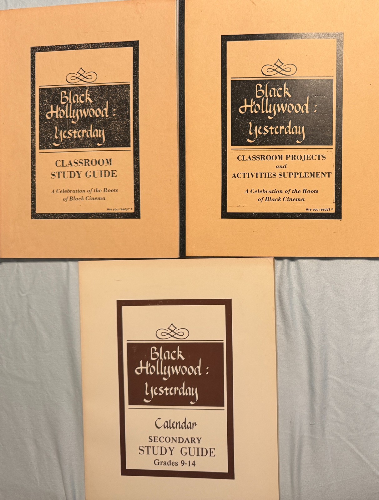 Black Hollywood Yesterday * Lot of 3 Classroom PB Books Projects Guide Secondary