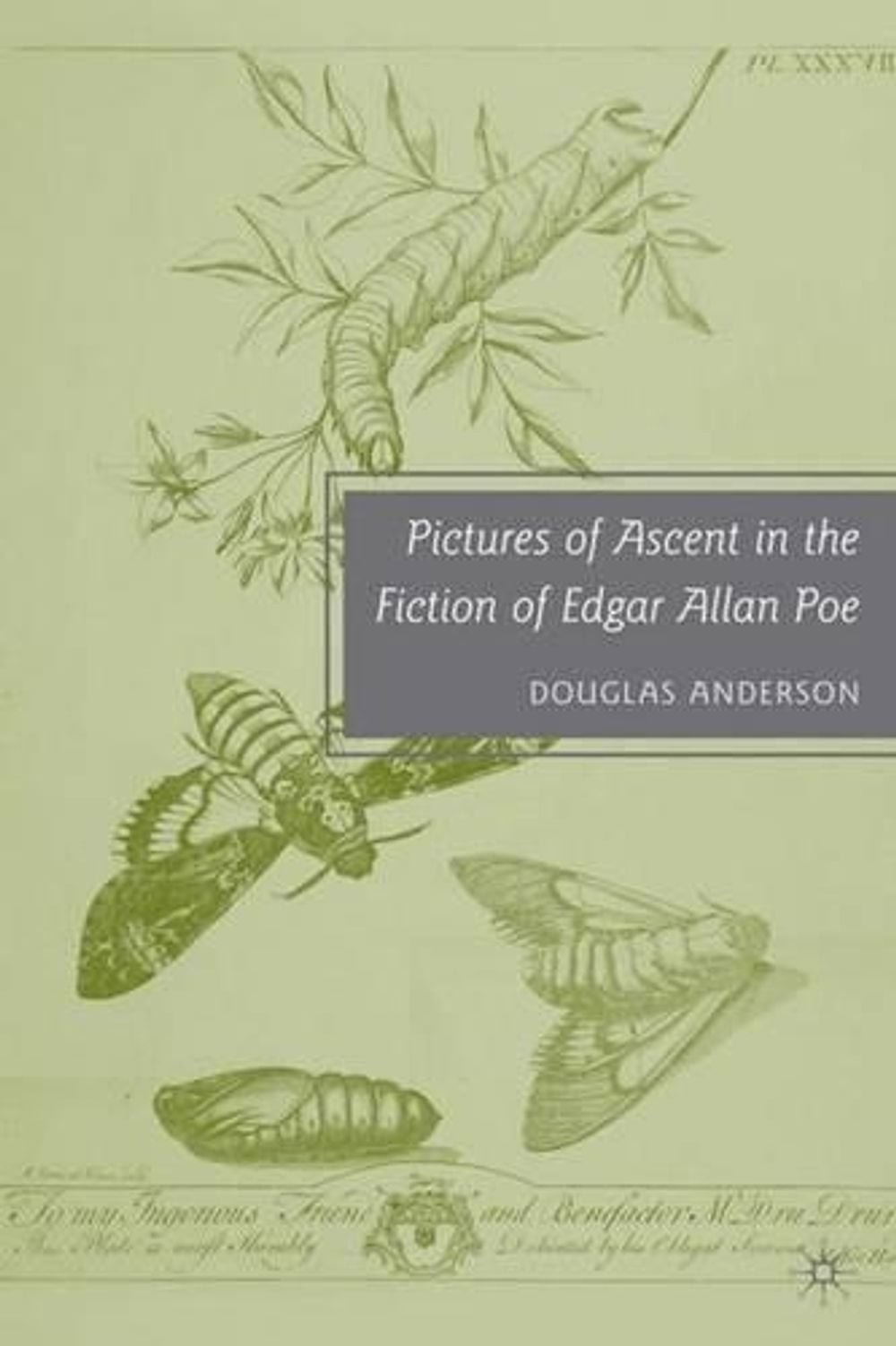 Pictures of Ascent in the Fiction of Edgar Allan Poe by D. Anderson (English) Ha
