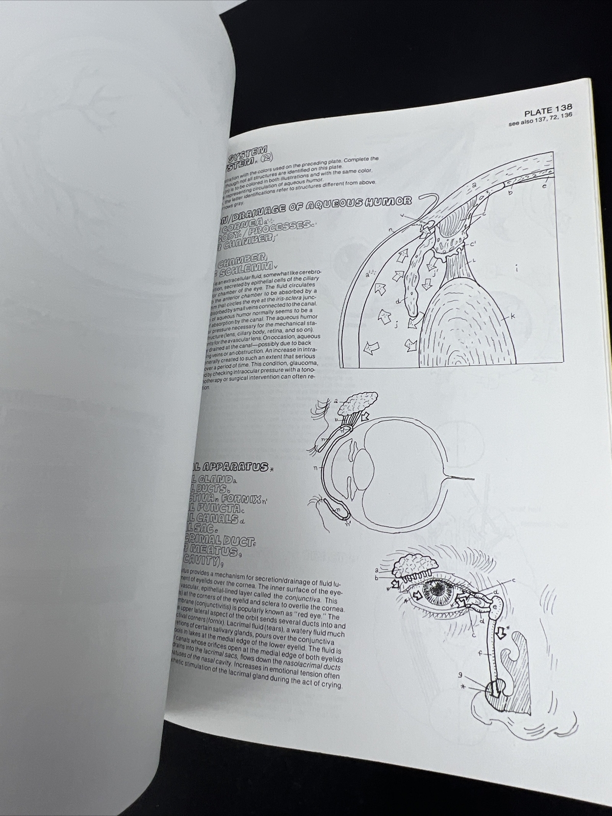 The Anatomy Coloring Book – Paperback By Kapit, Wynn 1977 Unused