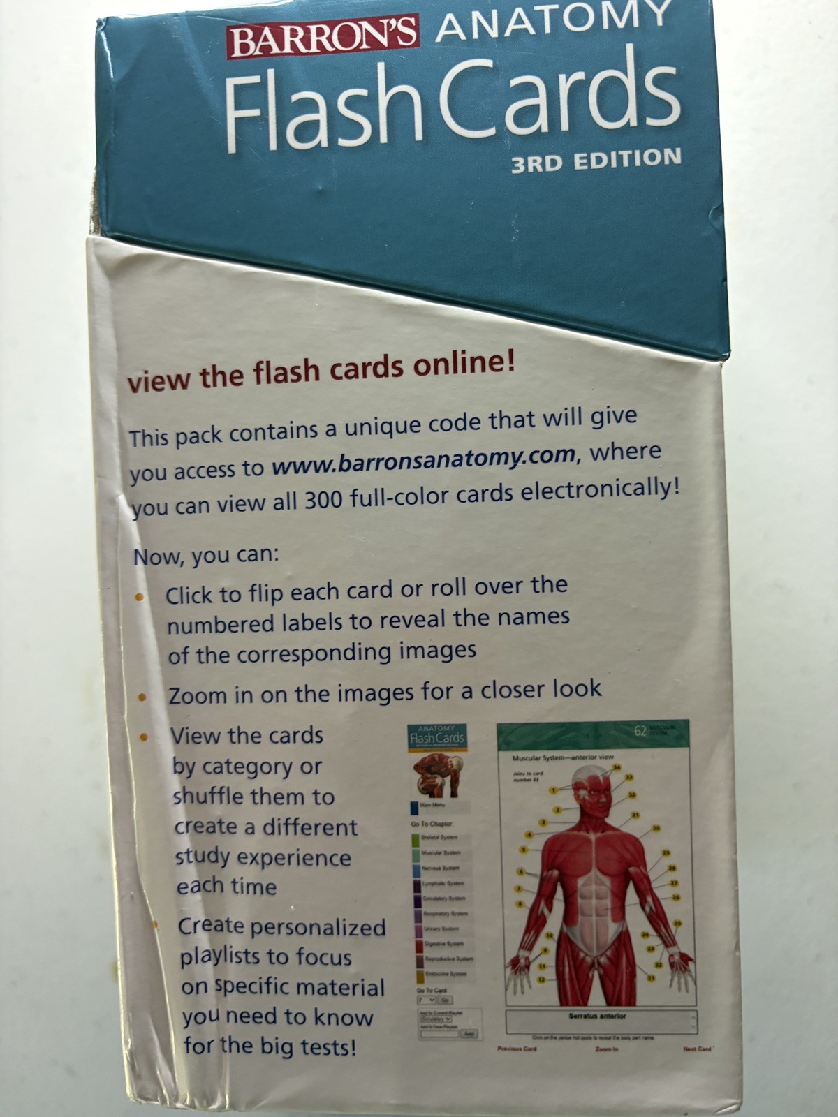 Barron’s Anatomy Flash Cards – Cards By Ashwell, Ken VERY GOOD CONDITION!