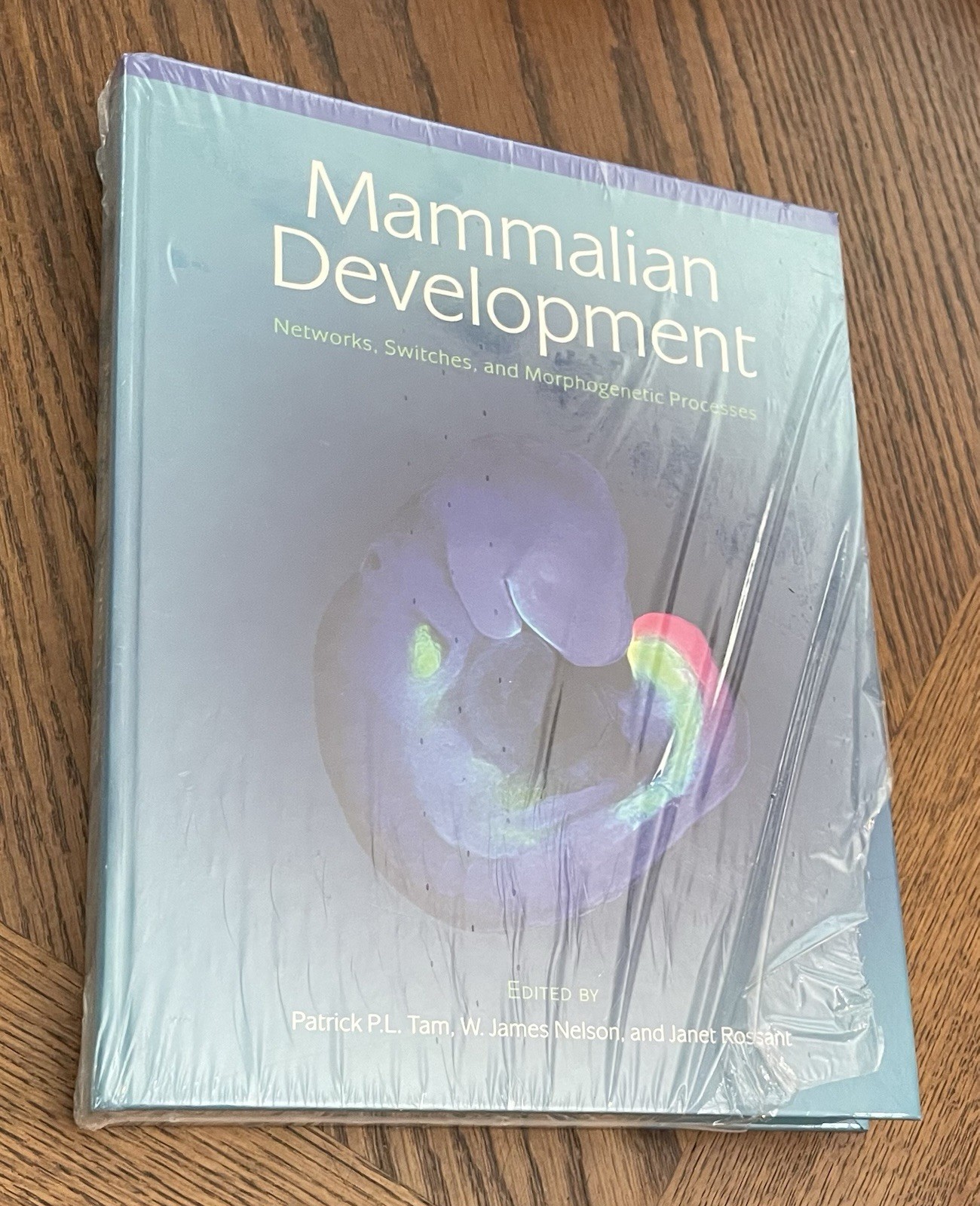 Mammalian Development Networks, Switches, Morphogenetic Processes Shrinkwrapped