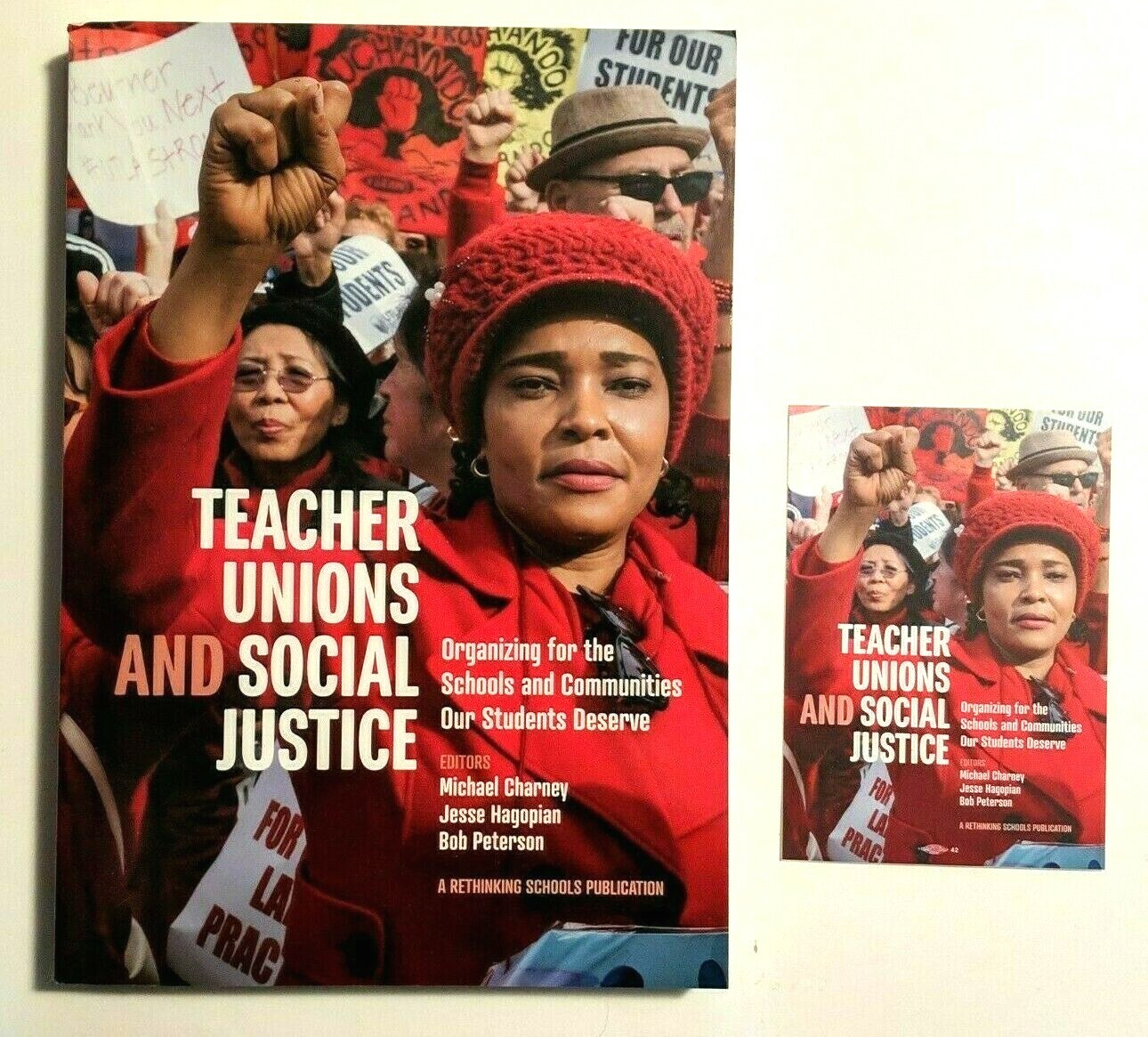 Teacher Unions and Social Justice Book & Sticker Organizing Schools Communities