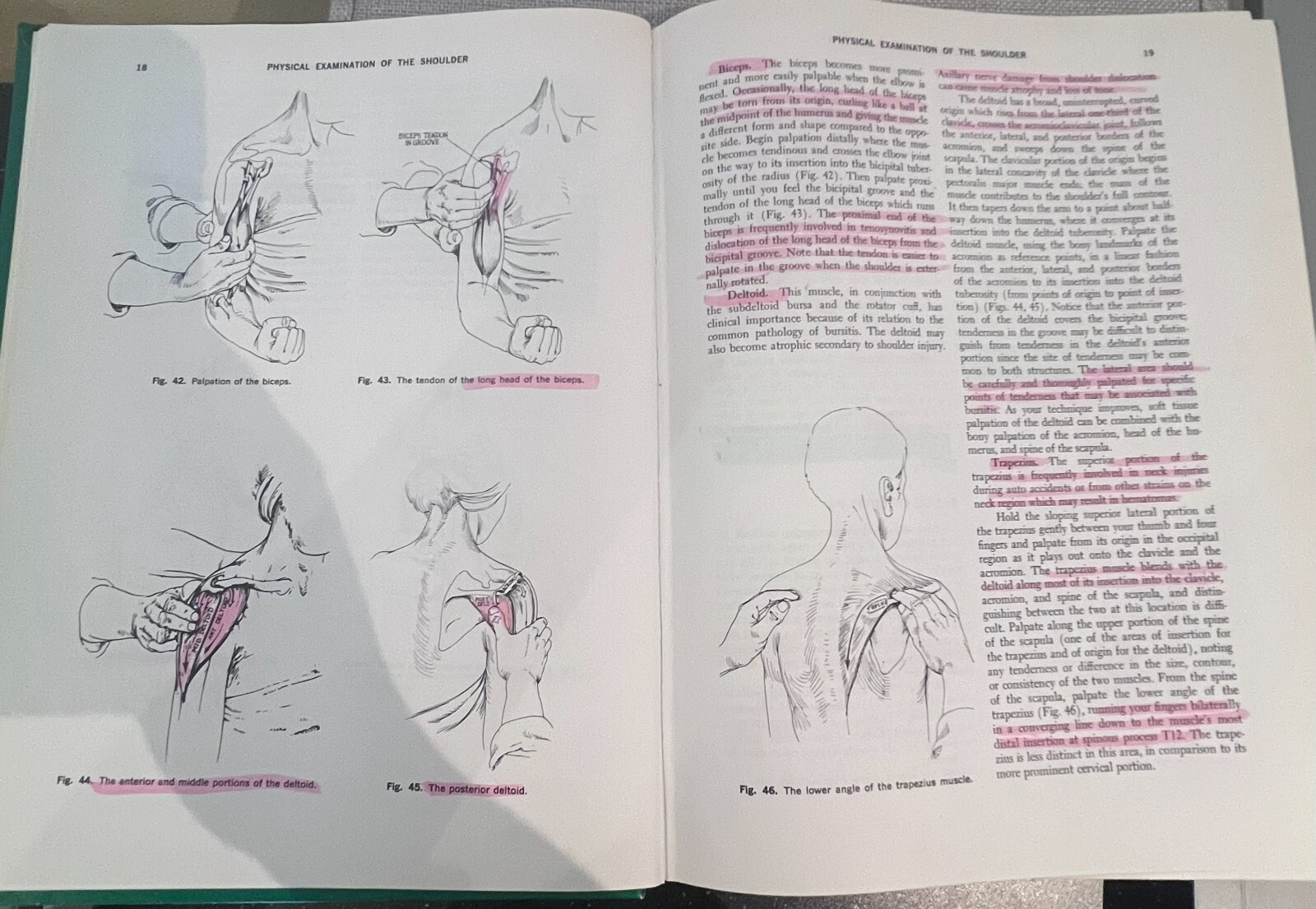 Physical Examination of the Spine and Extremities by Stanley Hoppenfeld…