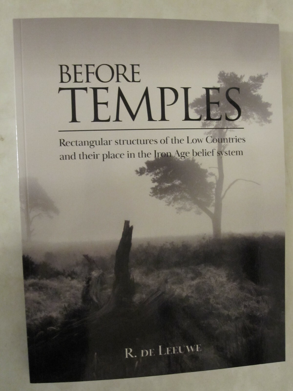 Before Temples : Rectangular Structures of the Low Countries and Their Place in