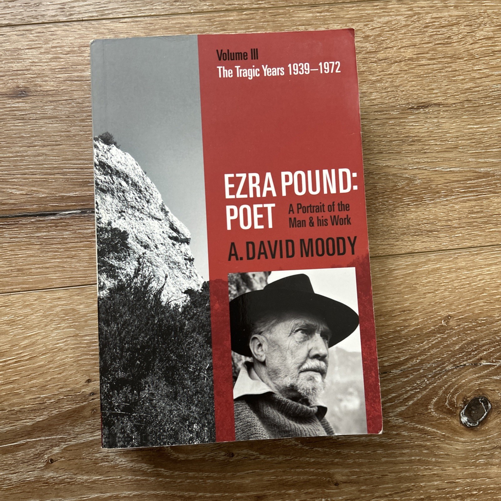 Ezra Pound: Poet : Volume III: the Tragic Years 1939-1972 by A. David Moody