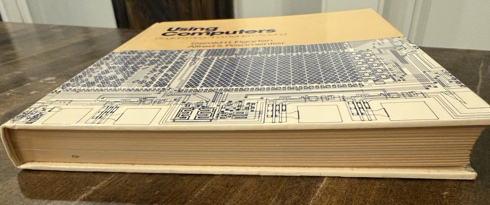 1984 USING COMPUTERS PROGRAMMING AND PROBLEM SOLVING by Elgarten & Posamentier