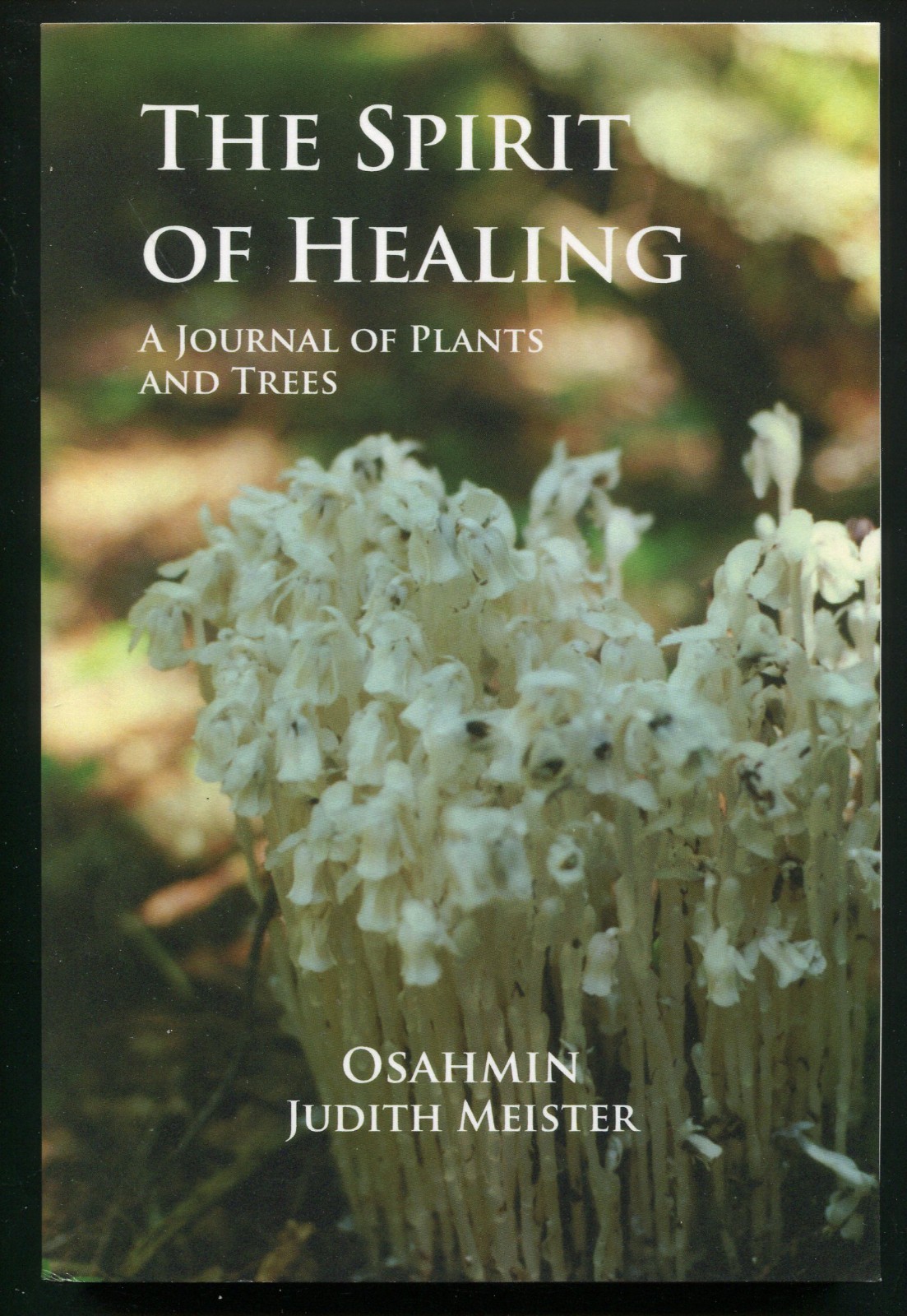 The Spirit of Healing A Journal of Plants and Trees by Judith Meister Osahmin