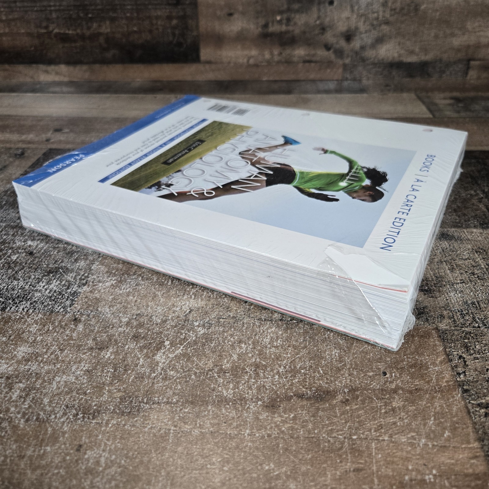 Human Anatomy & Physiology, Books A La Carte Loose Leaf Amerman Erin C. New