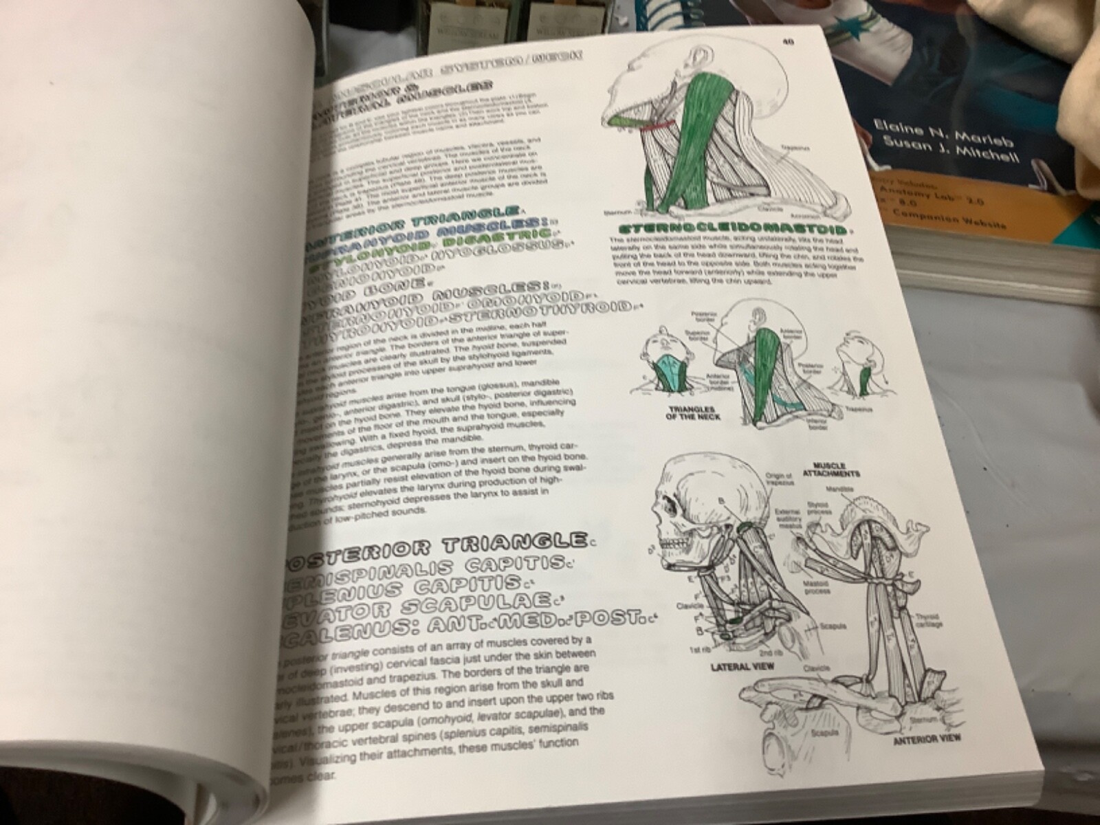 The Anatomy Coloring Book Kapit Elton 2 edition