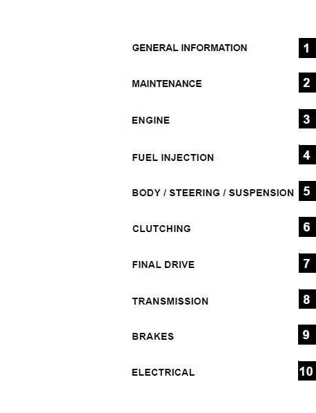 2008 Polaris RZR 800 Service Manual: 321 Pages & Protective Covers