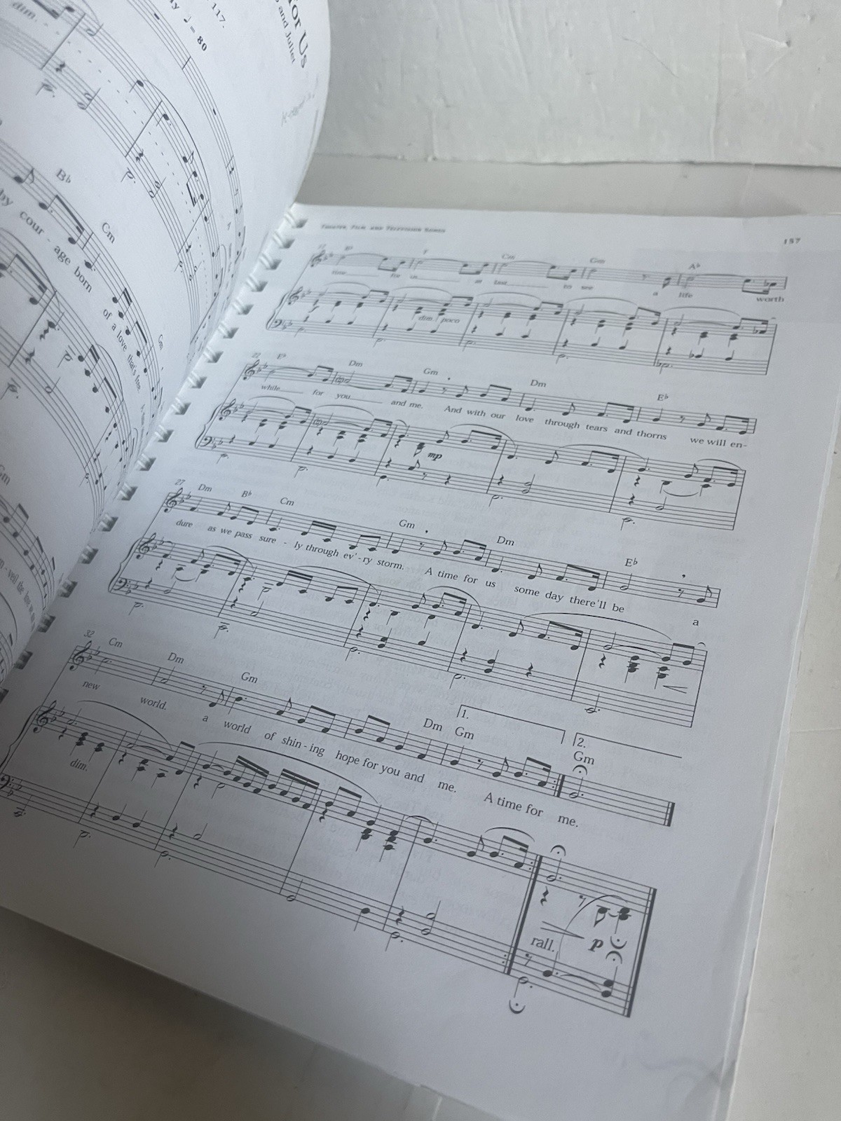 Singing Book by Cynthia Vaughn and Meribeth Bunch (2004, Trade Paperback Spiral)