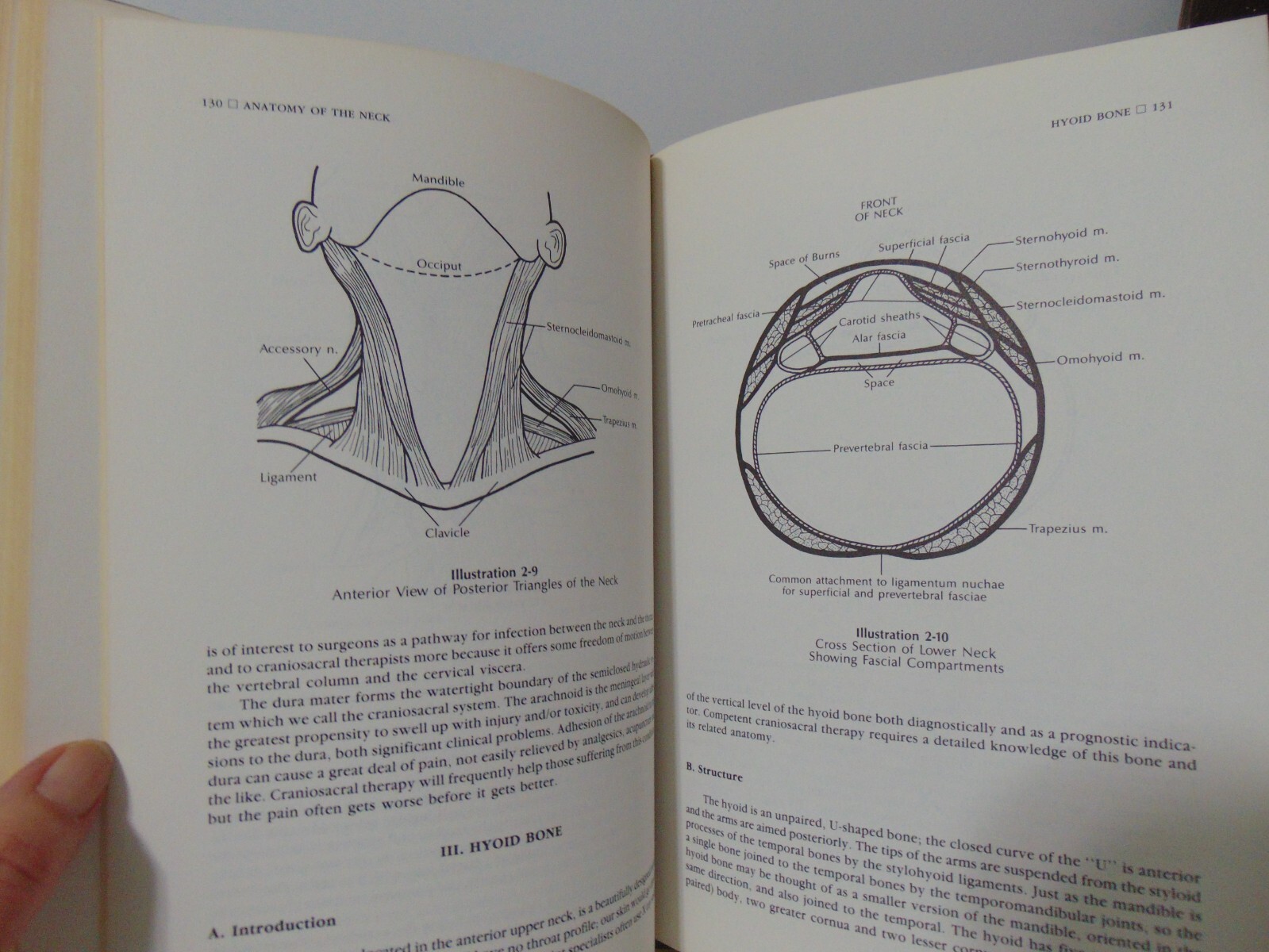 Craniosacral Therapy II: Beyond the Dura by John E Upledger Hardcover 1987
