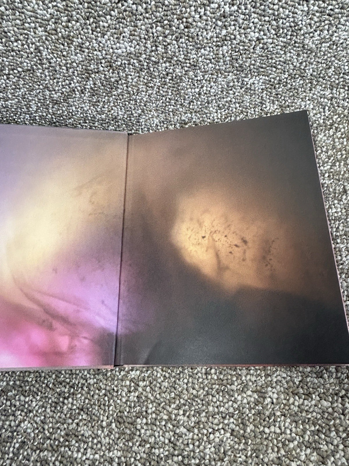Sara Garden Armstrong Art Artist Book Coffee Table Pink Photos Threads & Layers
