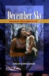December Sky: Beyond My Undocumented Life