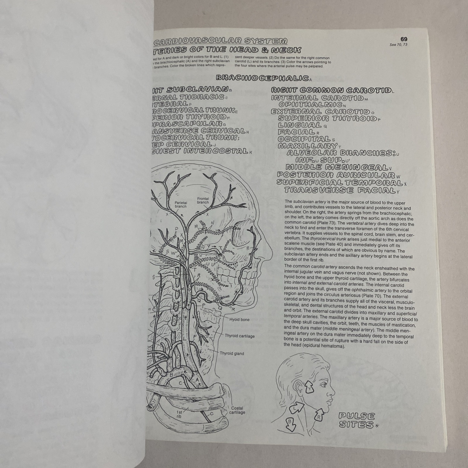 The Anatomy Coloring Book By Wynn Kapit & Lawrence M. Elson 2nd Edition