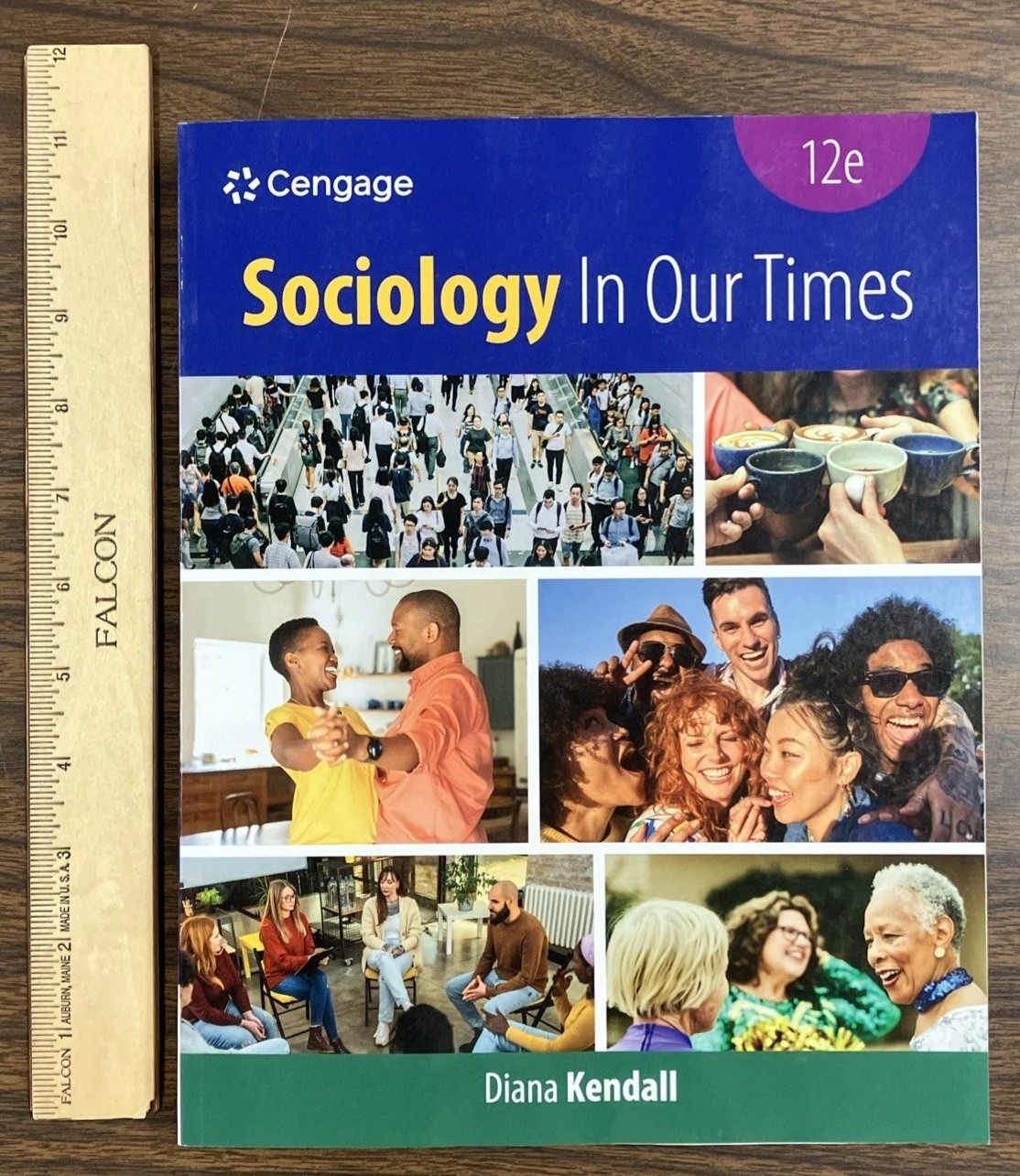 Sociology In Our Times Cengage 12e Paperback PB 2023 by Diana Kendall