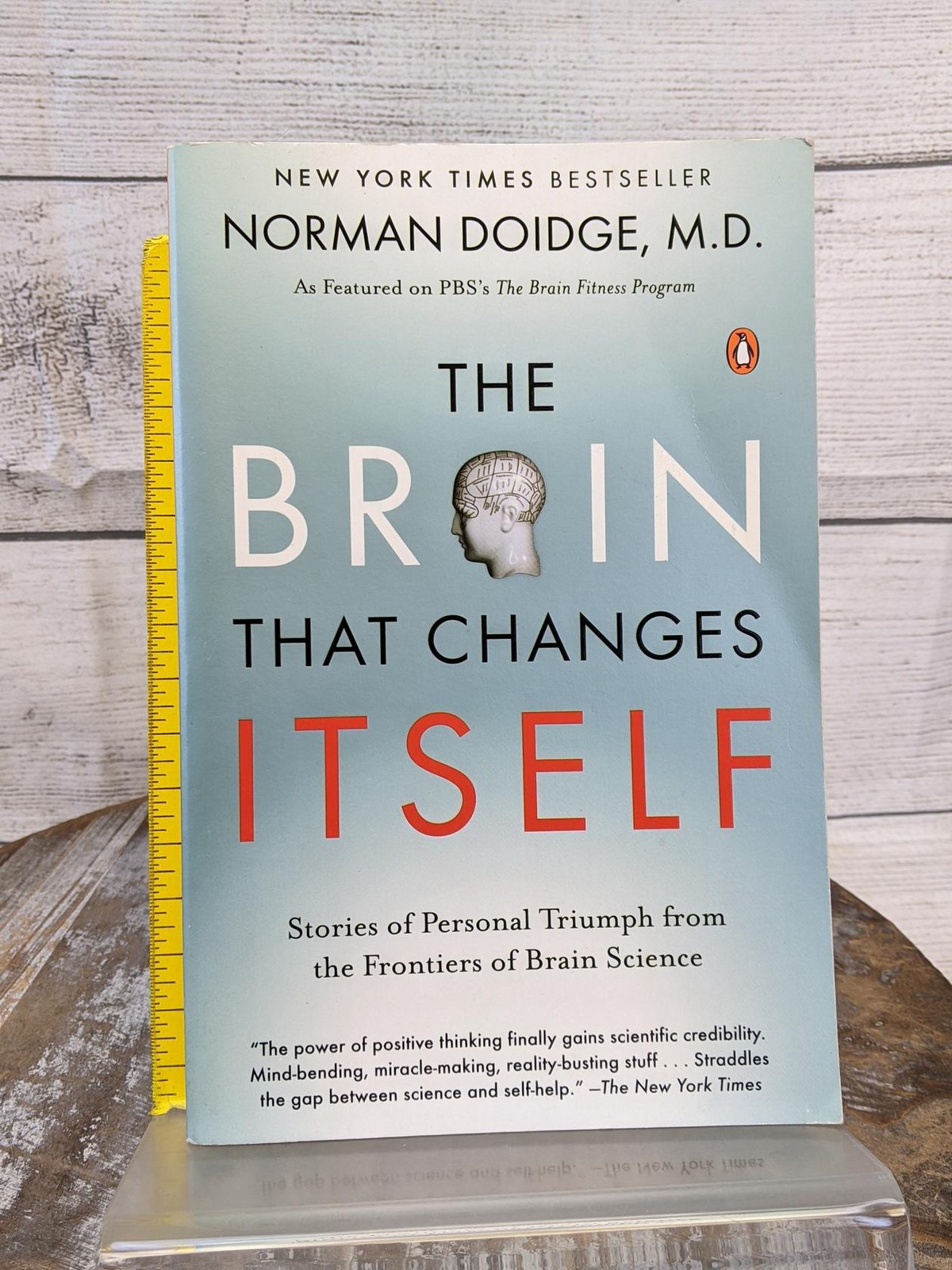 The Brain That Changes Itself by Norman Doidge 2007 Paperback Book