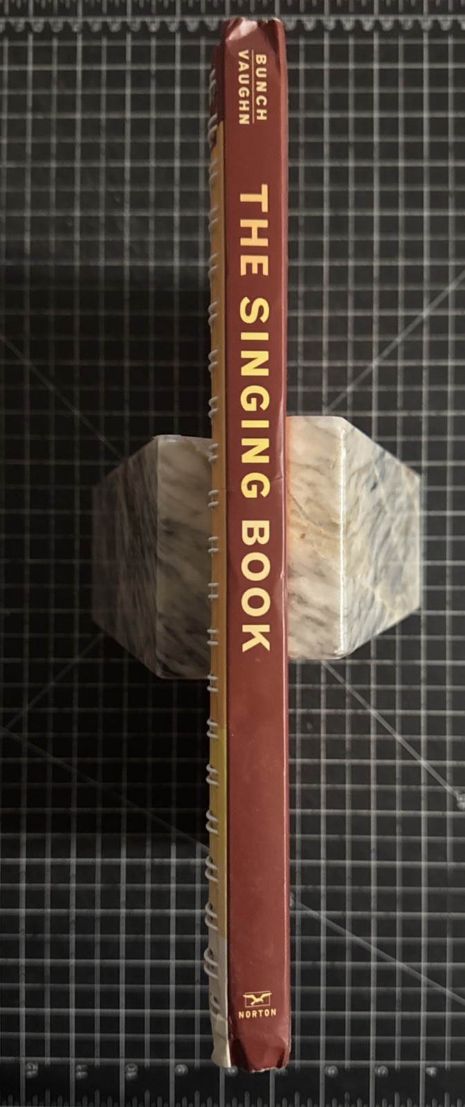 The Singing Book by Cynthia Vaughn and Meribeth Bunch (Spiral Paperback, 2004)