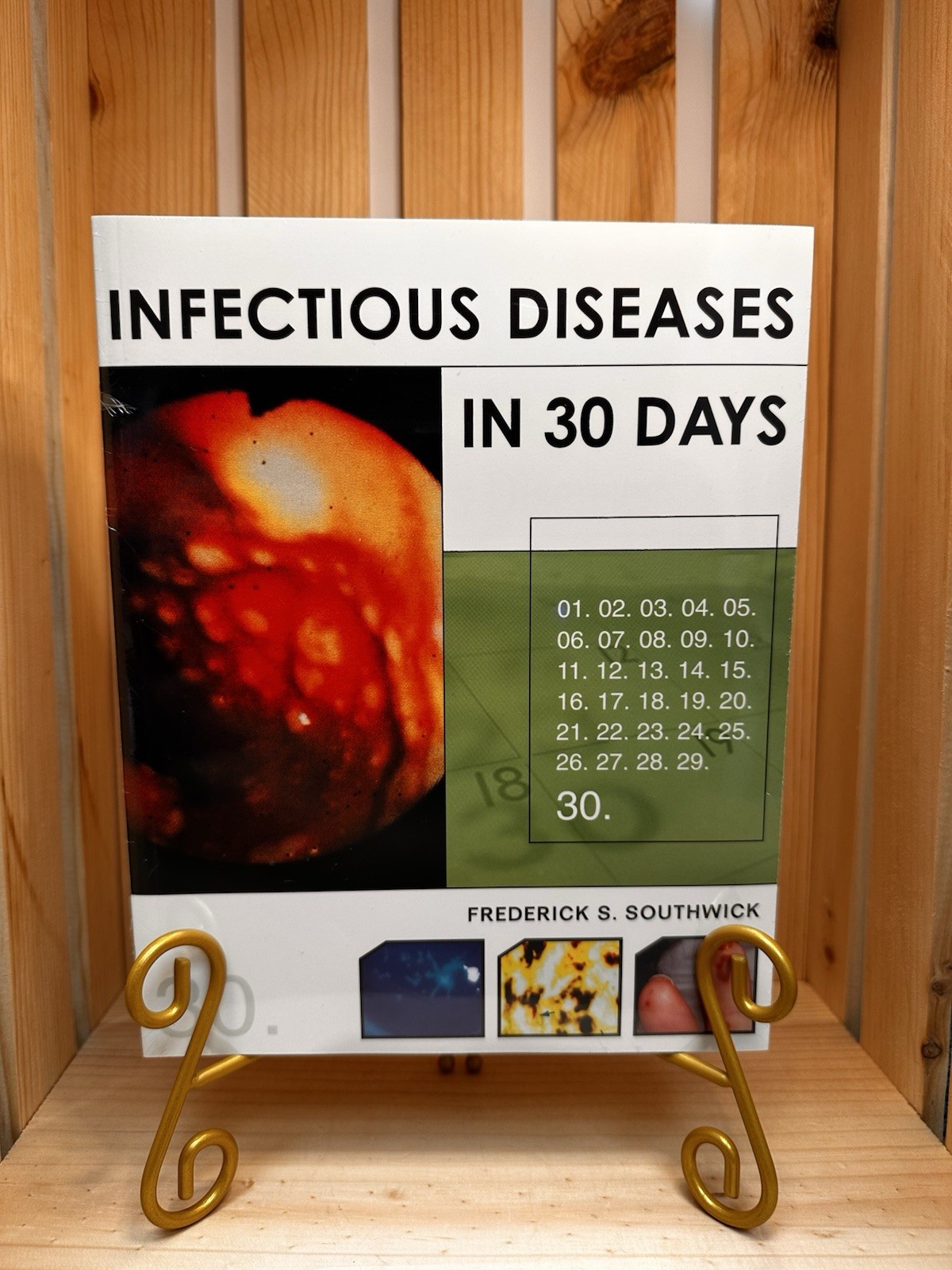 Infectious Diseases in 30 Days by Frederick S. Southwick (2003, Trade Paperback)