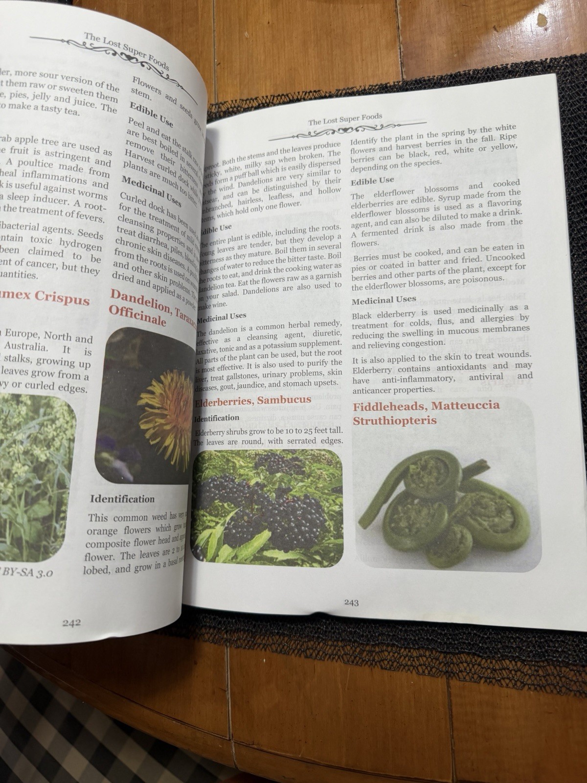 The Lost Super Foods – 126+ Survival Foods and Tips for Your Stockpile – PB 2020