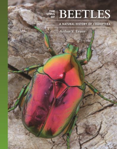 The Lives of The Natural World Ser.: Lives of Beetles : A Natural History of…